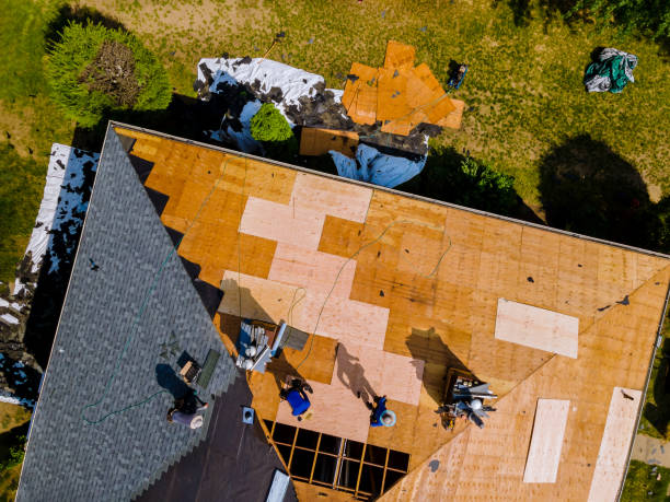 Best Roof Gutter Cleaning  in Gasport, NY